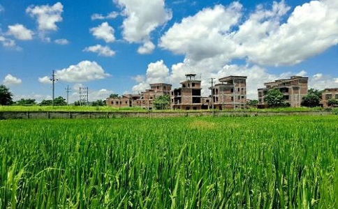 九一抖音免费版发展前景