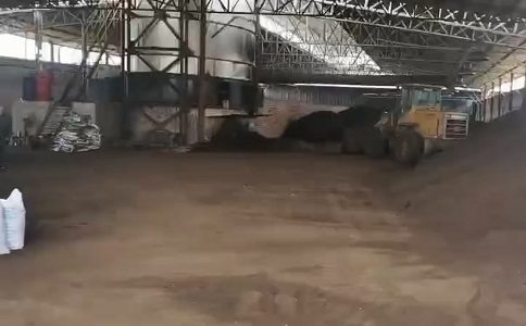 猪粪怎么处理成九一抖音免费版 猪粪怎么处理成九一抖音免费版